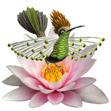 venus-in-leo-flower