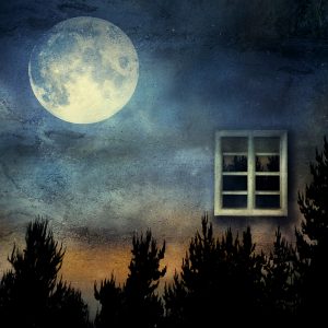 Moon Workshop